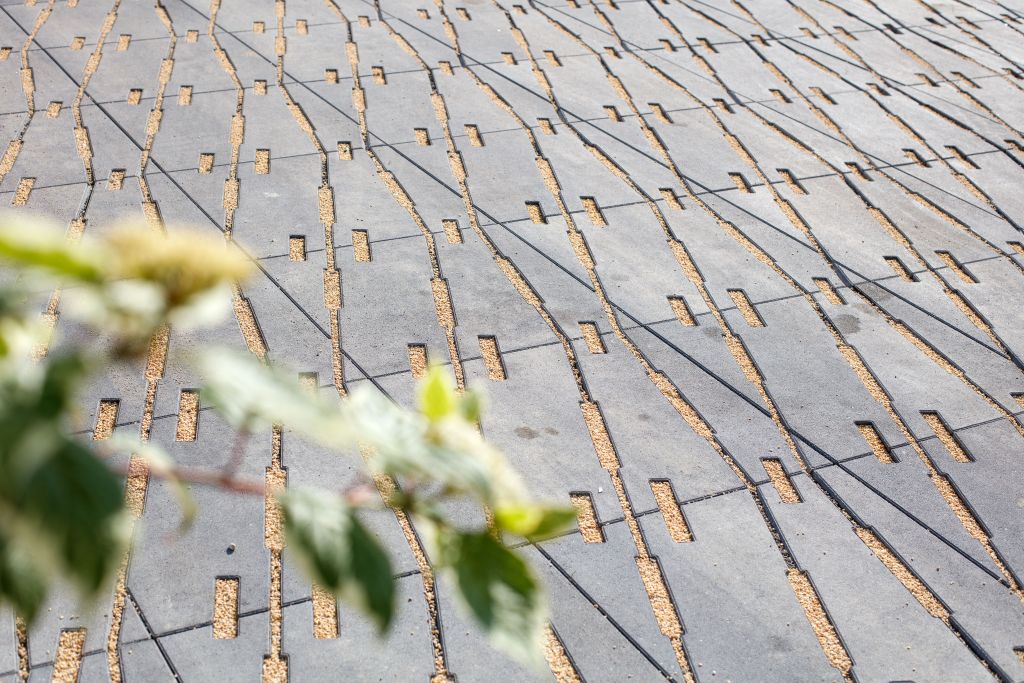 Jak estetycznie i funkcjonalnie zaplanować przestrzeń przed domem?