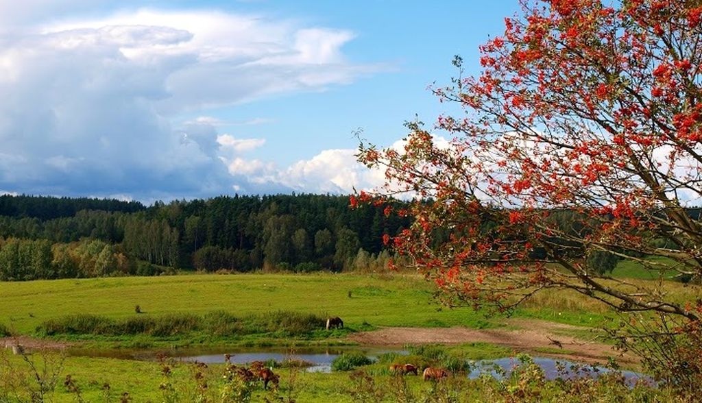 Celebryci wybierają Warmię i Mazury